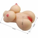 CRAZY BULL Herta Mini Torso anatomiczny model kobiecy 497g TPR