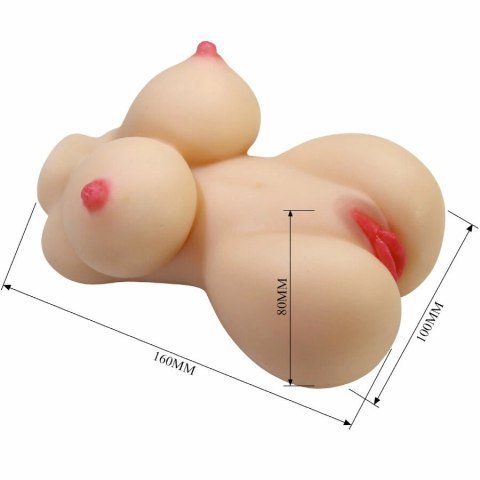 CRAZY BULL Herta Mini Torso anatomiczny model kobiecy 497g TPR