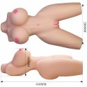 Crazy Bull Lily Torso kobiecy 41,9 cm - anatomiczny model TPR, 4 kg