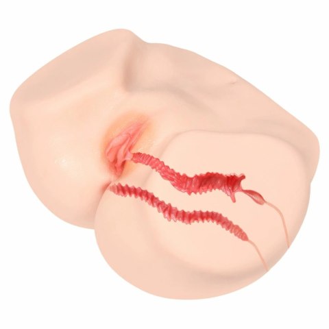 Kokos 004 Vanilla Onahole - model dwuwarstwowy, jasny beż, system podwojnej tekstury