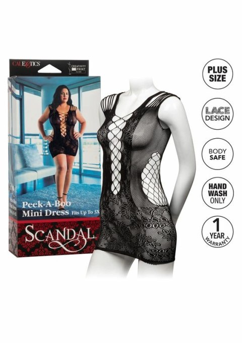 CalExotics Scandal Peek-A-Boo Mini Sukienka Plus Size, koronka, czarna