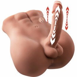 XISE Bertlett Model Anatomiczny z Systemem Ruchu 18 cm, Pozycja Przednia