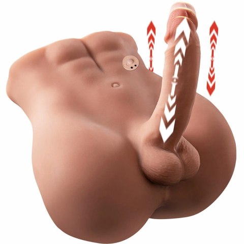 XISE Bertlett Model Anatomiczny z Systemem Ruchu 18 cm, Pozycja Przednia