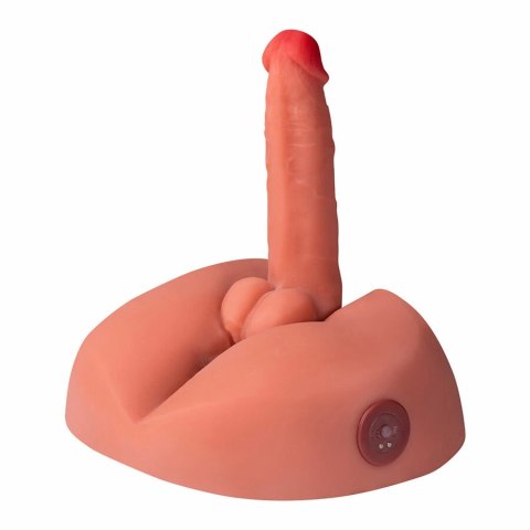 XISE Honey Vibrator - Model z Wibracjami 25 cm, TPE, Pilot, Przyssawka