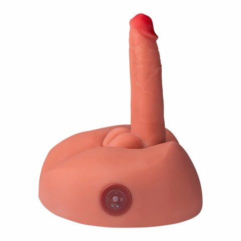XISE Honey Vibrator - Model z Wibracjami 25 cm, TPE, Pilot, Przyssawka