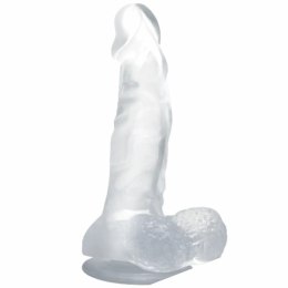 Baile Model RealStick Transparentny 16,7 cm z przyssawką i anatomiczną podstawą