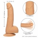 CalExotics Dong silikonowy 15,24 cm skora z przyssawką elastyczny