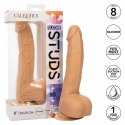 CalExotics Dong silikonowy 20,3 cm z przyssawką, kolor skora