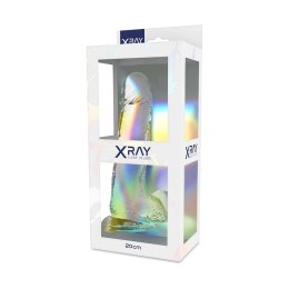 XRAY X Ray Clear 20 cm - przezroczysty model z kulkami, materiał Jelly