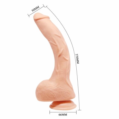 Baile Piękny Jack 26 cm - model anatomiczny z elastycznego TPR, przyssawka