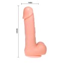 Baile Dong 20 cm - Model anatomiczny z obrotem i wibracją, przyssawka
