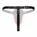 Fetish Collection Zestaw Double Strap-On Czarny Silikon Regulowany