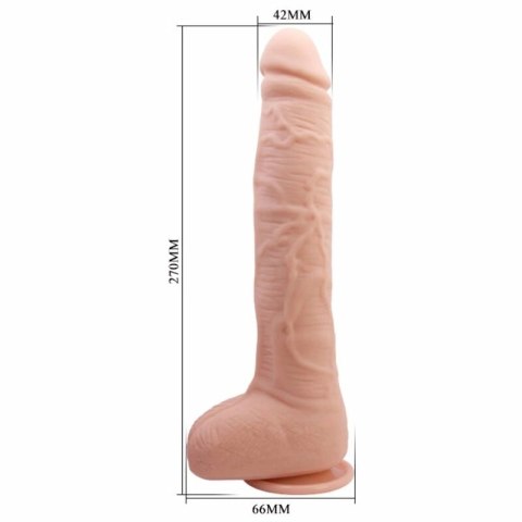 Baile Model Elastyczny 28cm Anatomiczny z Przyssawką TPR