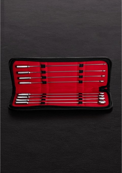 Steel Zestaw do sondowania - 8 elementow, stal nierdzewna, etui