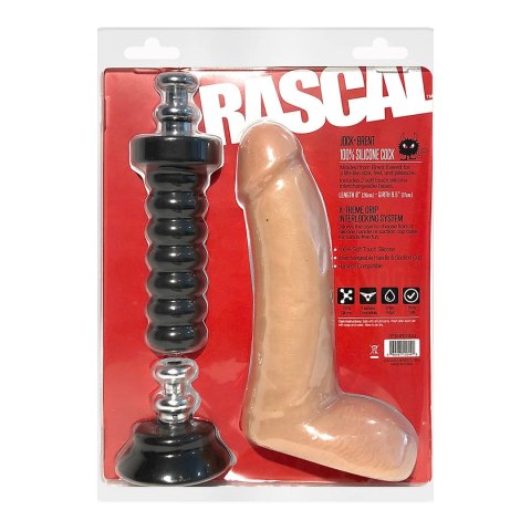 Boneyard Brenta Everett silikonowy model anatomiczny 20 cm z wymienną podstawą